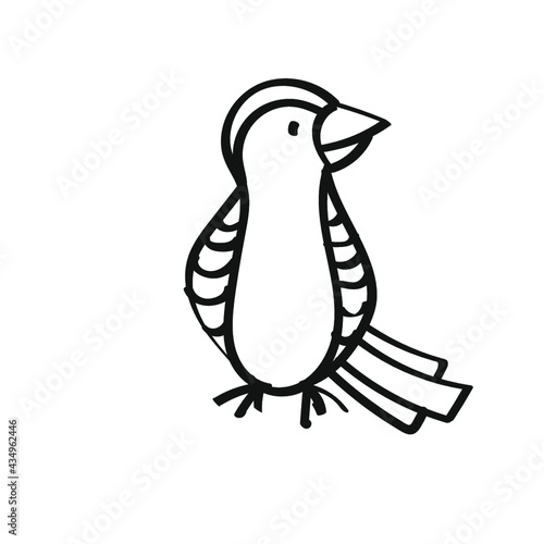bird on a branch