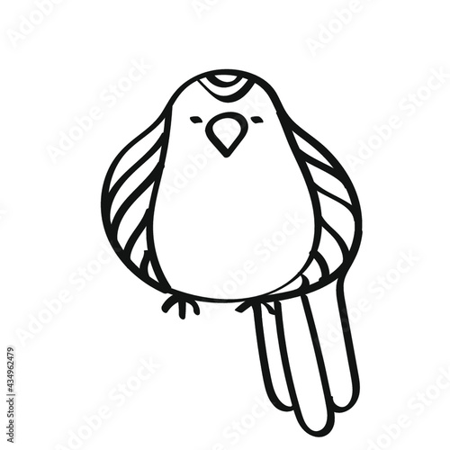 illustration of a bird