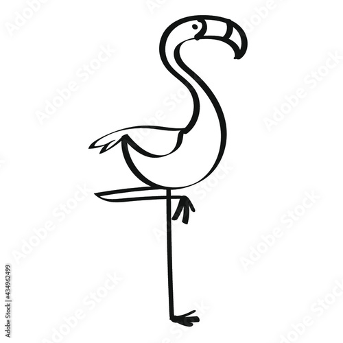 flamingo