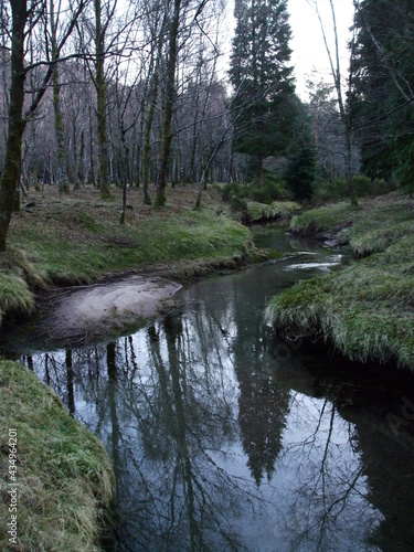 Lamas de Mouro