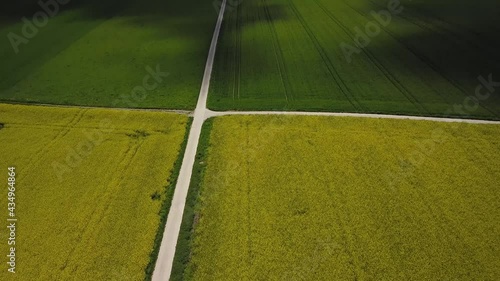 survol en drone découverte des alentours au-dessus d'un champ de colza jaune depuis le bas vers le haut sous le soleil dans un ciel bleu avec des ombres au sol des gros nuages blancs