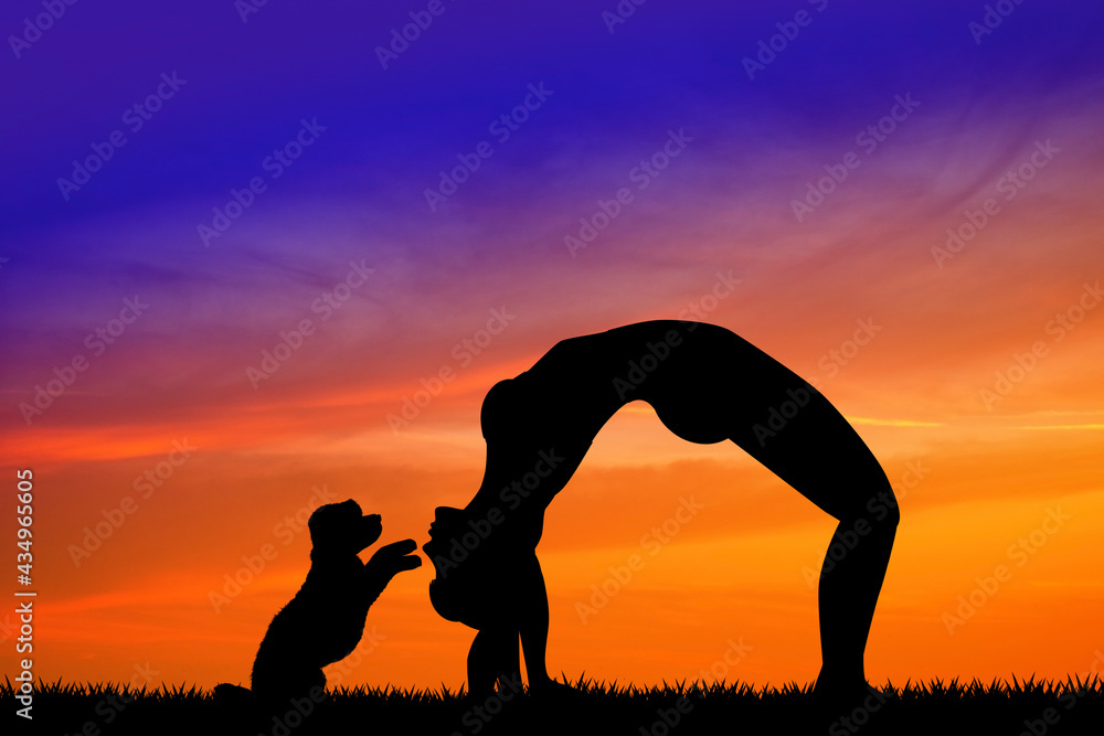illustration of girl doing yoga pose silhouette at sunset
