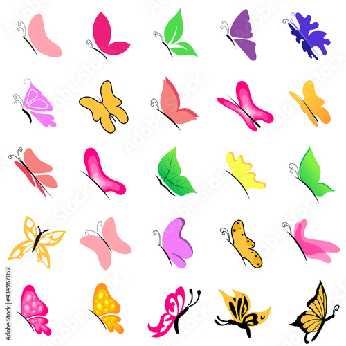 25 Butterflies Collection vector; Flat Butterflies set illustration; Butterfly collection of different color
 photo