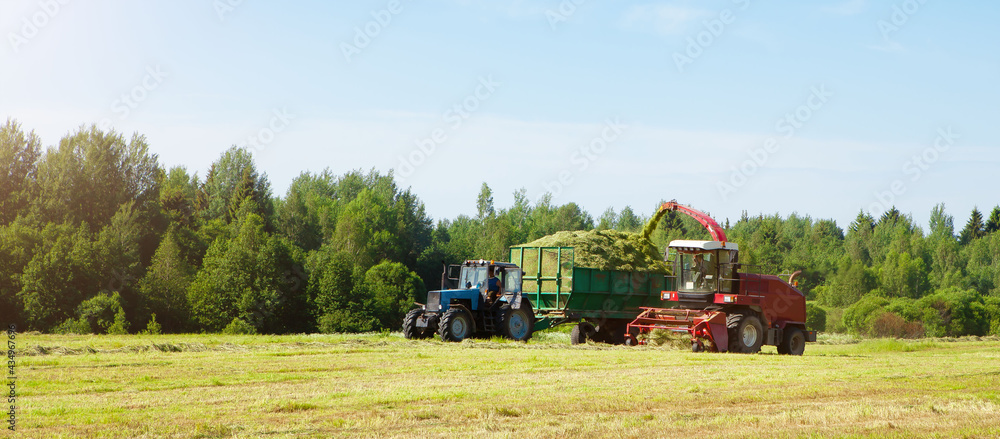 Fototapeta premium Hay harvesting in the field.
