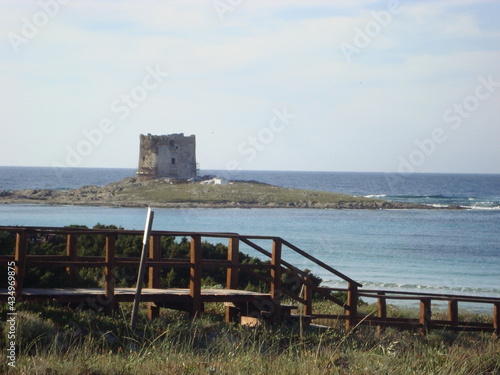 ruins of the old castle