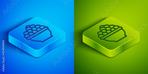 Isometric line Caviar icon isolated on blue and green background. Square button. Vector