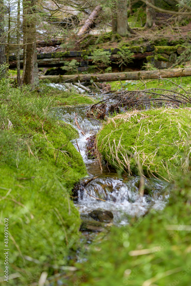 waldbach waldbach