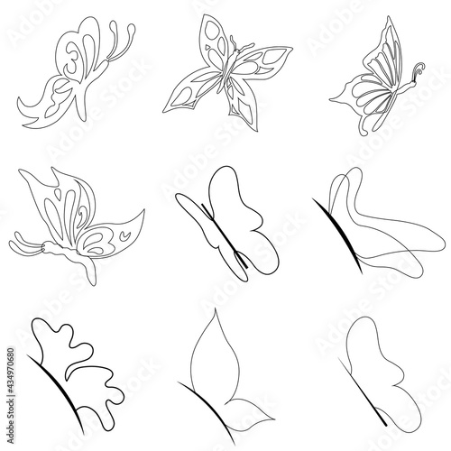 9 Butterflies Collection vector; Flat Butterflies illustration