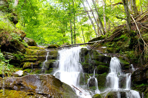 waterfall in the forest