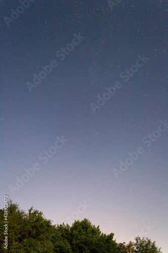star sky and trees