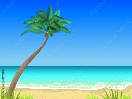 Vector summer beach horizontal background with a single coconut palm tree. Beautiful landscape, calm water, good sunny weather, summer day on the ocean bay.