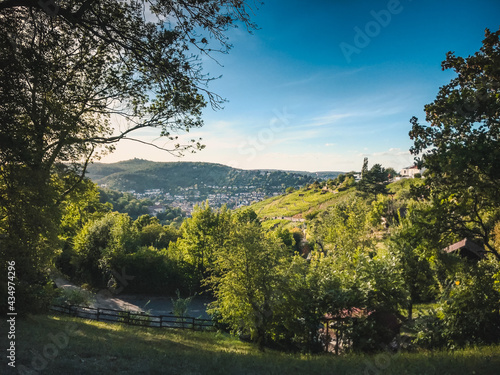 Scenic summer view from the Haigst lookout in Stuttgart, Germany to a vineyard on the right side and forested hills in the background. 