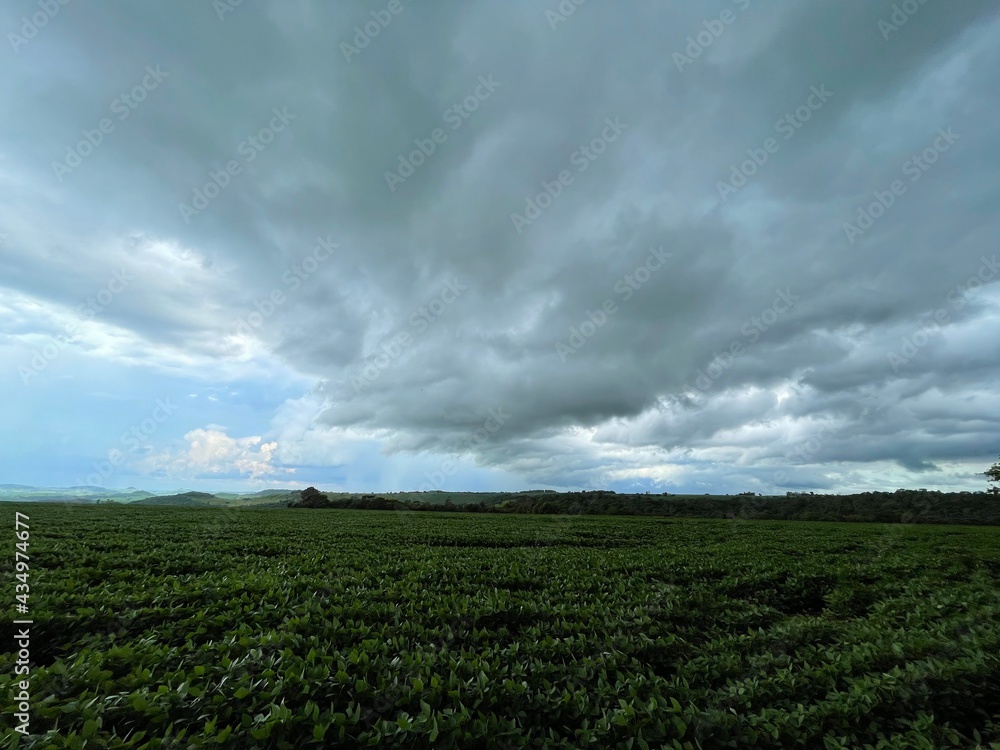 clouds over the field clouds over the field