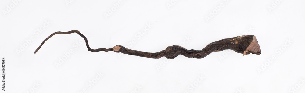 Fototapeta premium sorcerer magic wand isolated on white background