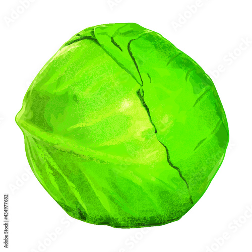 Kapusta 1