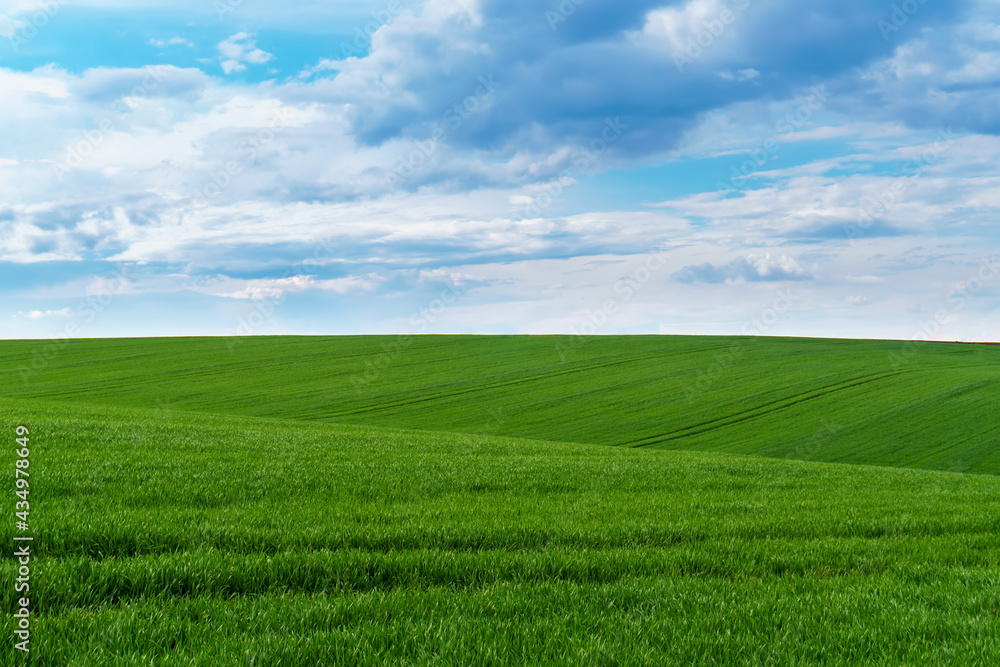 Green field over blue sky background