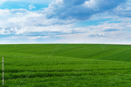 Green field over blue sky background