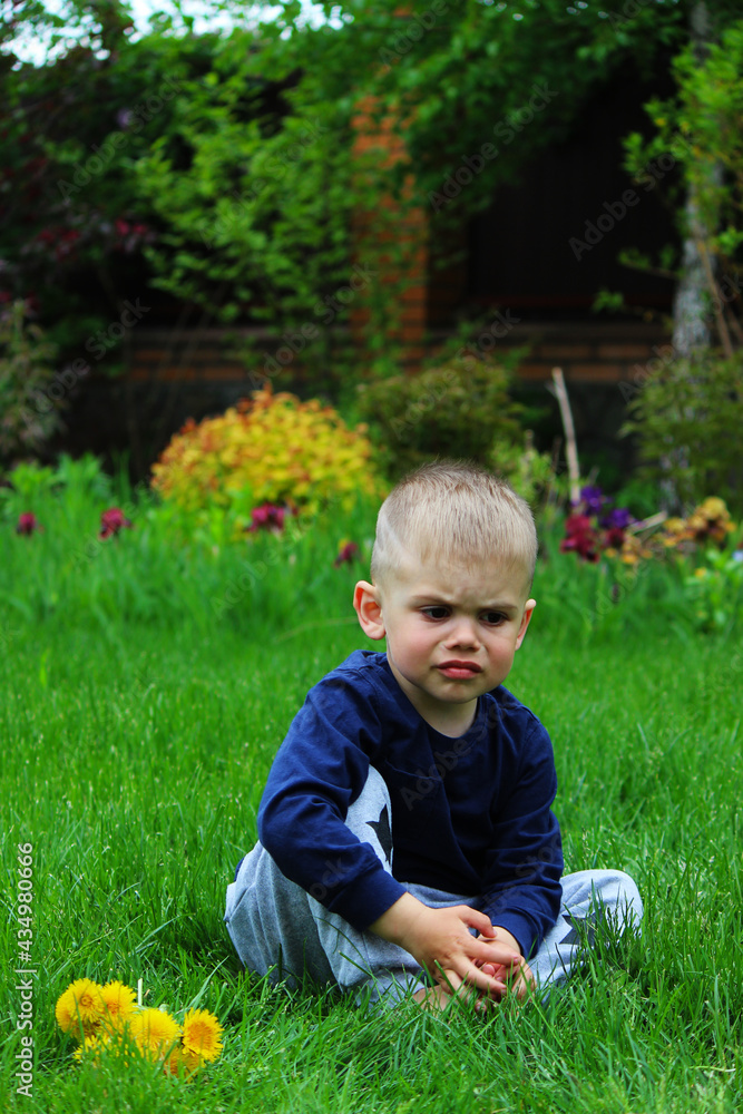 little boy sits on the grass. Selective focus little boy sits on the grass. Selective focus