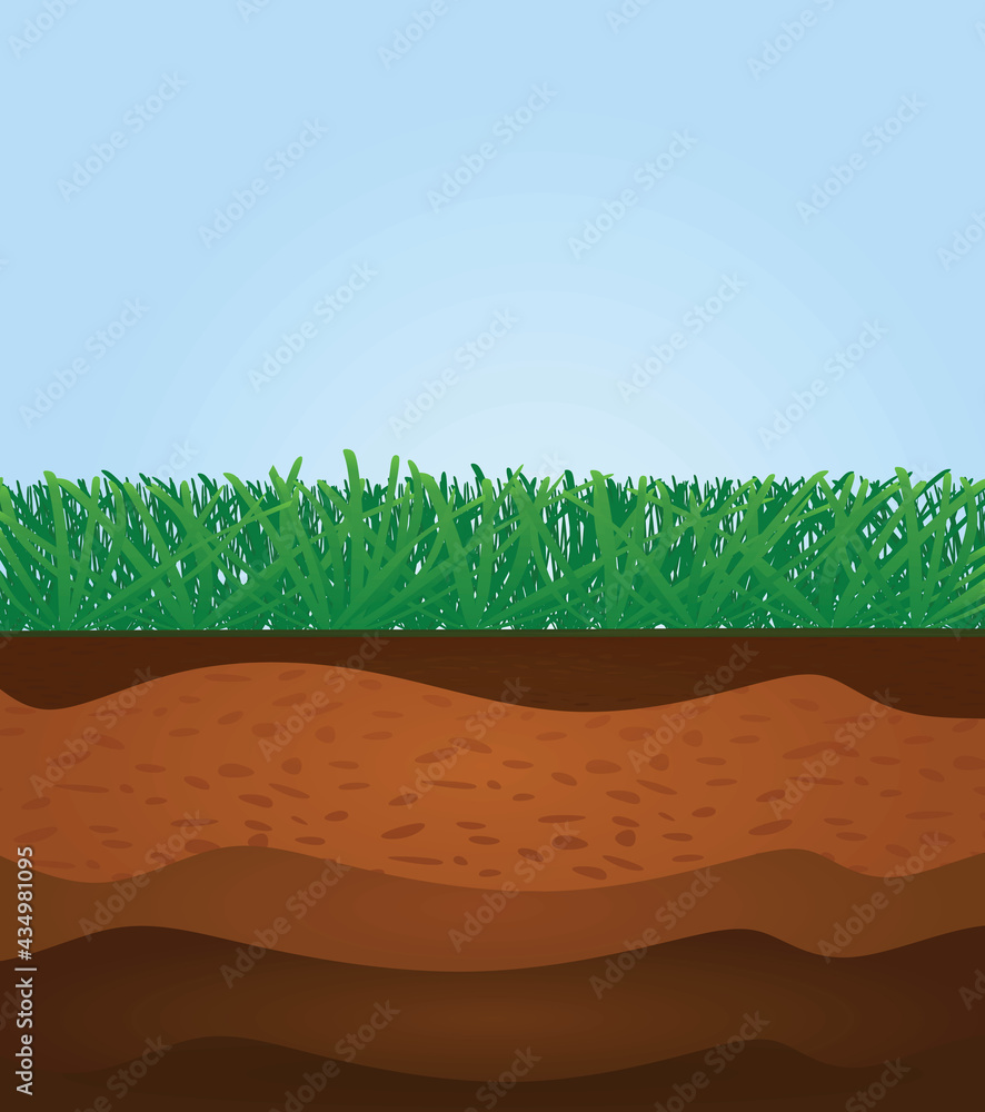 Grass soil layers. vector illustration Stock Vector | Adobe Stock