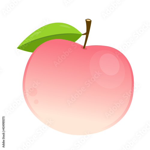 Peach vector. Peach logo design. Peach on white background.