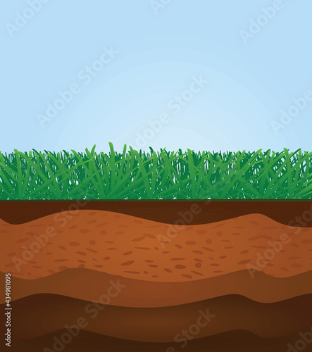Grass soil layers. vector illustration