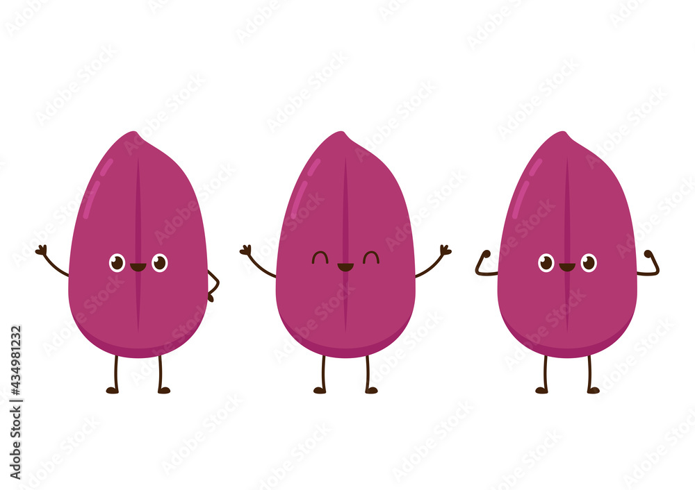 Riceberry character design. Riceberry vector. Riceberry on white background.