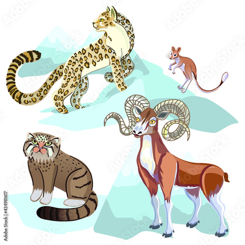 Wild animals of Kazakhstan. Irbis - snow leopard, jeroboam, manul, mountain sheep, in Latin Ovis Ammon.