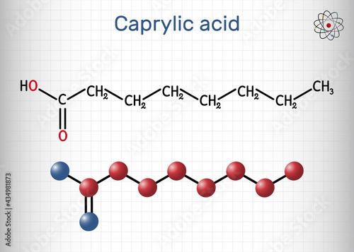 Caprylic acid, octanoic acid  molecule. It is straight-chain saturated fatty and carboxylic acid. Salts are octanoates or caprylates. Sheet of paper in a cage photo