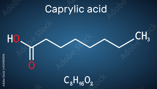 Caprylic acid, octanoic acid  molecule. It is straight-chain saturated fatty and carboxylic acid. Salts are octanoates or caprylates. Ddark blue background. Vector illustration
