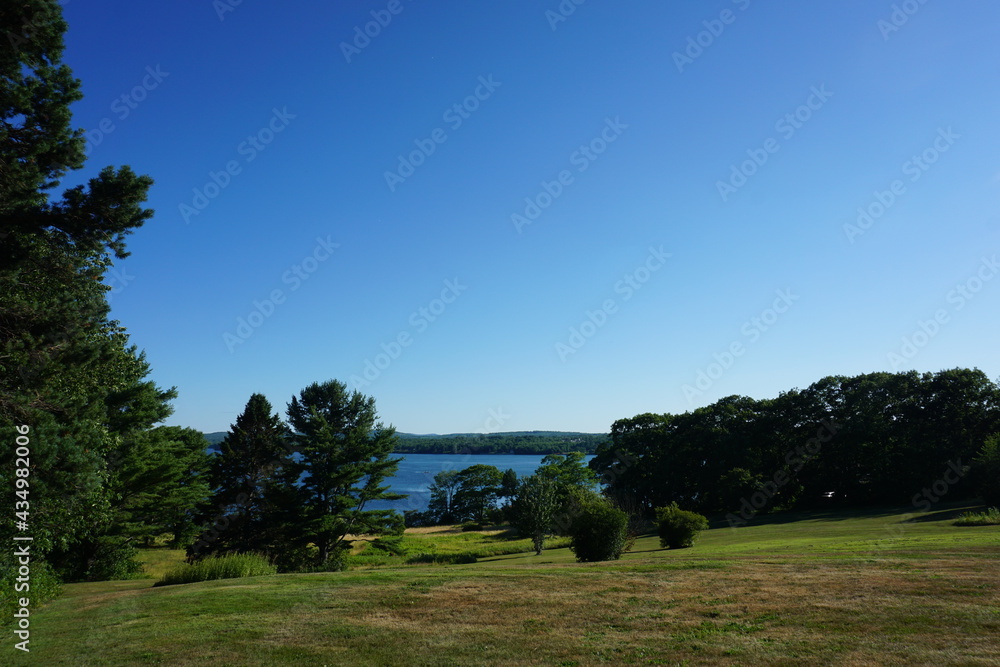 landscape with trees