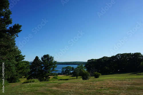 landscape with trees