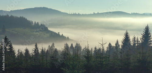 Misty foggy mountain landscape with fir forest and copyspace in vintage retro style