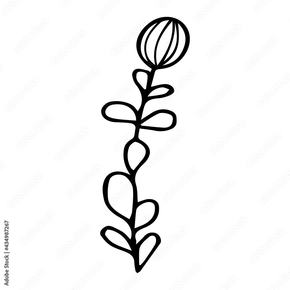 Vector illustration with a twig. Doodle style plant vector for banners and postcards. Vector illustration with a twig. Doodle style plant vector for banners and postcards.