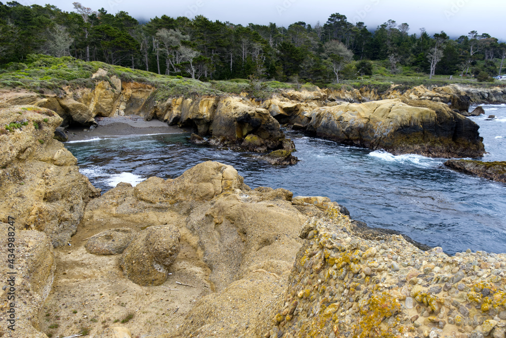 Point Lobos - Rocky Shore jutting into the Sea Point Lobos - Rocky Shore jutting into the Sea