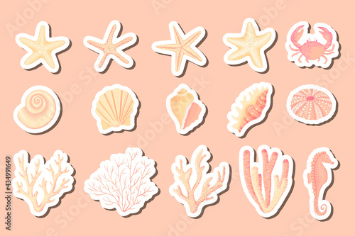 Seashells vector set. Collection of flat, cartoon sketch stickers of molluscs seashells, starfish, sea urchin, seahorse, hippocampus, crab, coral. Trendy coral reef under water isolated elements