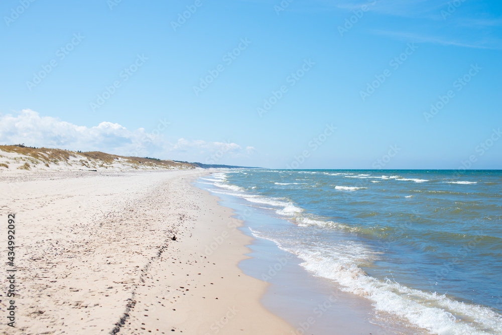Dunes by the sea. Coastal vegetation. Plants in the dunes. Polish sea. Empty beach. White sand. View of the dunes and the sea. Poster. Postcard