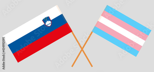 Crossed flags of Slovenia and Transgender Pride. Official colors. Correct proportion