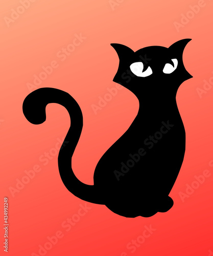 black cat with red background