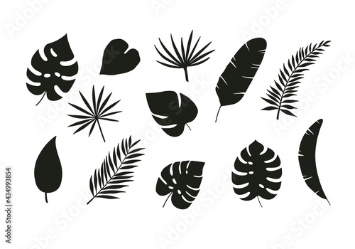 Black silhouettes of tropical palm leaves isolated on white background. Exotic plants leaves set. Vector illustration