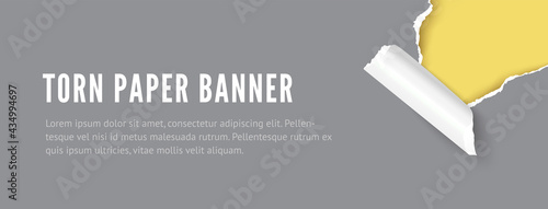 Torn hole paper banner with space for text. Realistic 3D vector paper ripped edges banner template