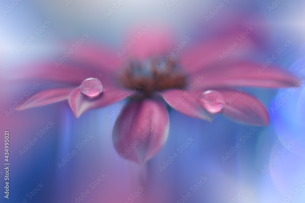 Beautiful macro shot of magic flowers.Border art design. Magic light.Extreme close up macro photography.Conceptual abstract image.Violet and Blue Background.Fantasy Art.Creative Wallpaper.Water Drops.