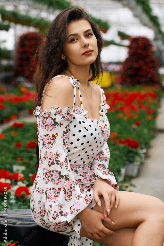 Naklejka premium Attractive young woman in stylish summer dress posing among colorful flowers at orangery. Female model with dark curly hair sitting at looking at camera. 
