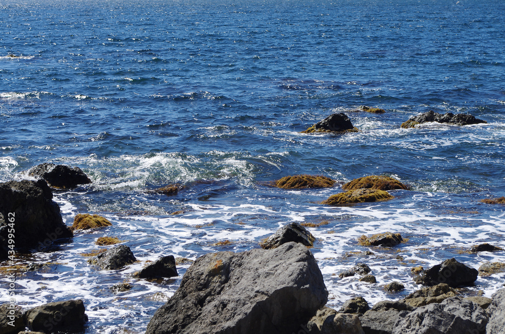 Sea rocky coast abstract background of water surface with splashes Sea rocky coast abstract background of water surface with splashes