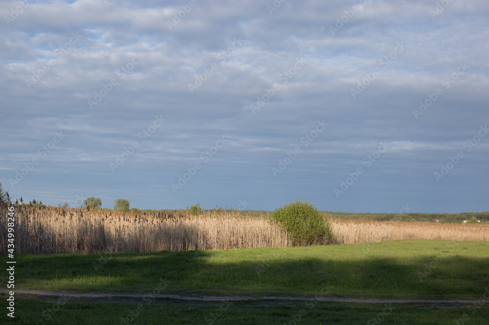Fototapeta premium landscape with sky and clouds