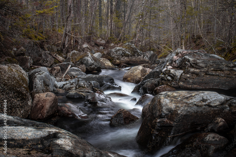 Amazing river in the forest during autumn Jacque cartier national park, Quebec, Canada Amazing river in the forest during autumn Jacque cartier national park, Quebec, Canada