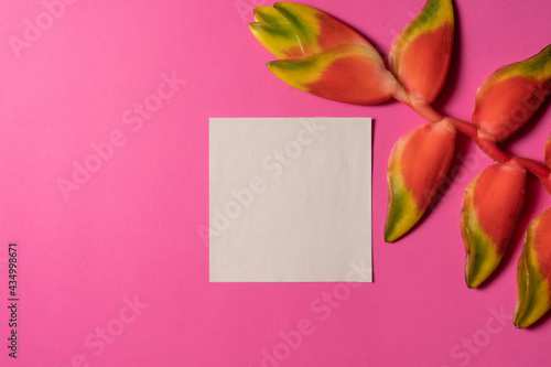 Nature composition with red heliconia flowers and paper card frame. Creative copy space layout. Flat lay bright pink background.
