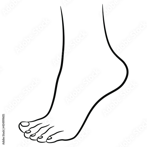Bare female foot standing on tiptoe. Cartoon style. Black and white linear silhouette.