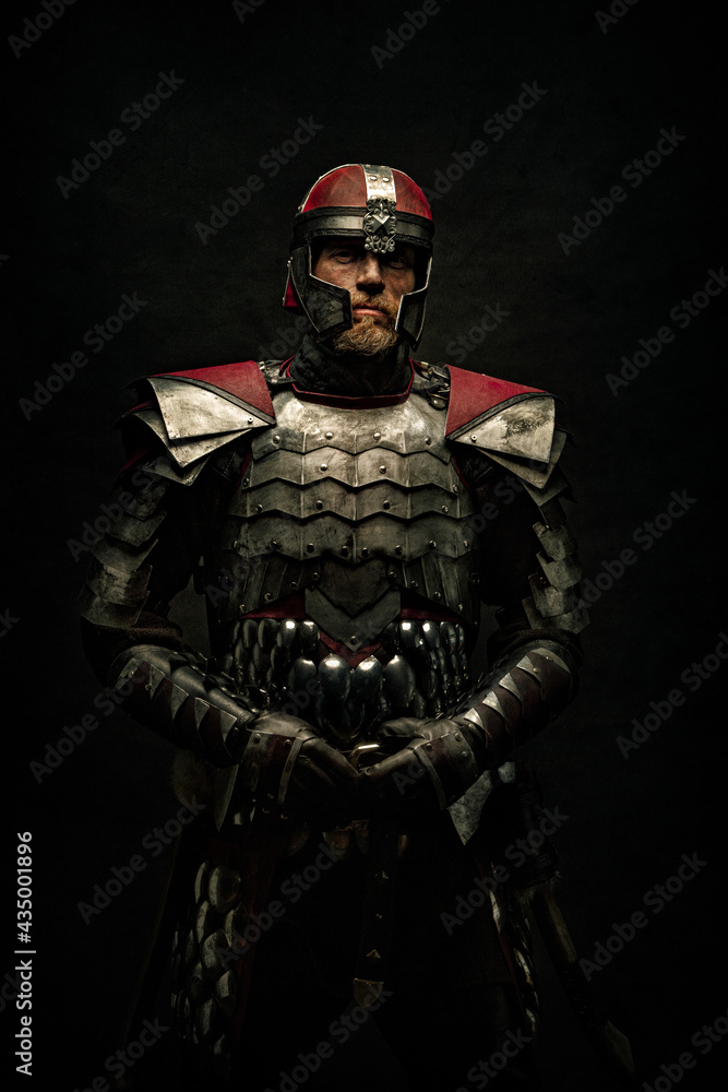 Portrait of a medieval fighter from the front Portrait of a medieval fighter from the front