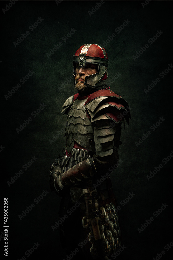 Portrait of a medieval fighter in profile - obrazy, fototapety, plakaty 