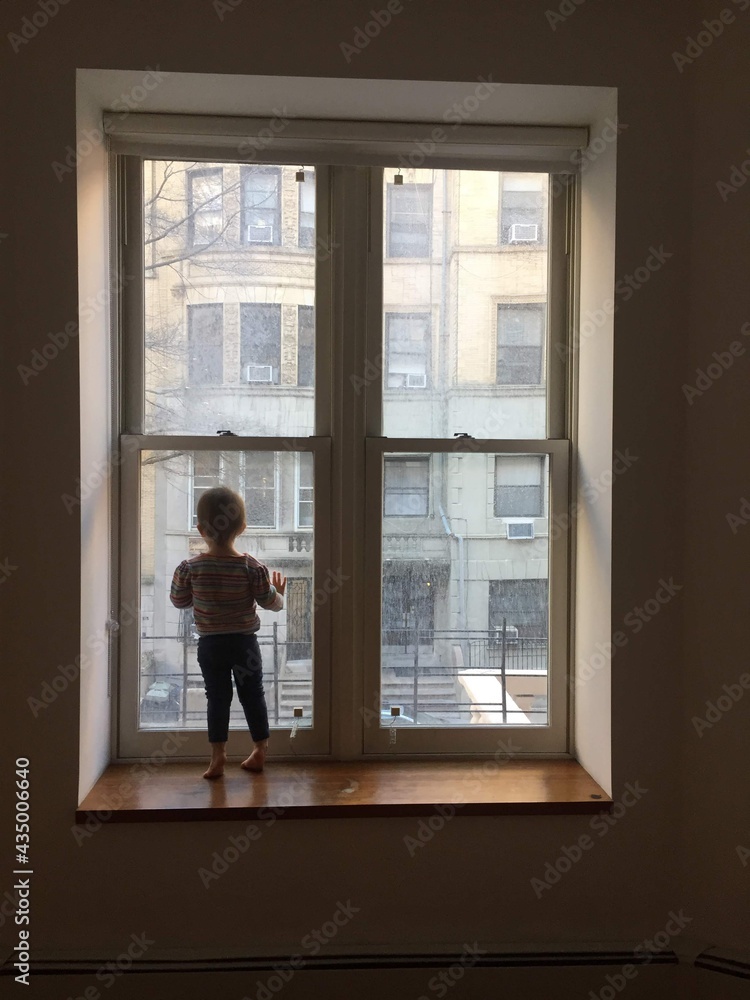 person in the window person in the window